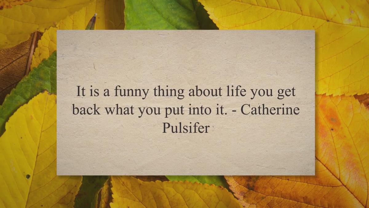'Video thumbnail for Funny Quotes about Life Page 2'