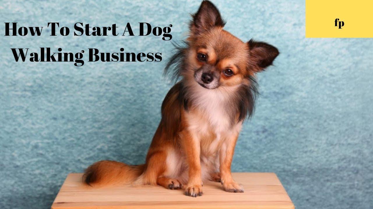 'Video thumbnail for How To Start A Dog Walking Business'
