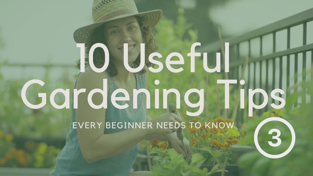 'Video thumbnail for 10 Useful Gardening Tips Every Beginner Needs to Know - Part 3'