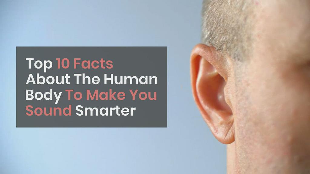 'Video thumbnail for Top 10 Facts About The Human Body To Make You Sound Smarter'