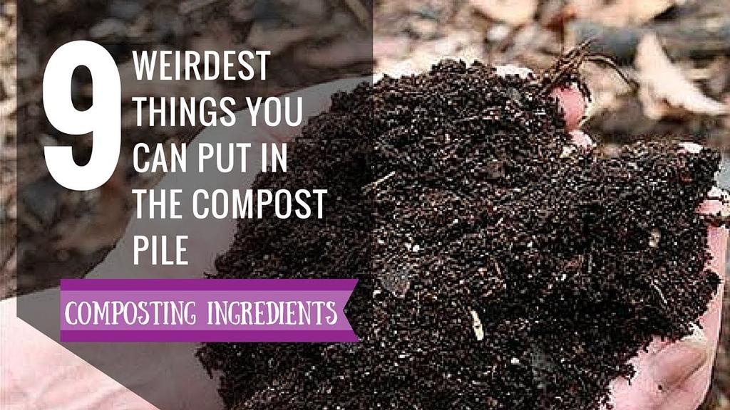 'Video thumbnail for Weird Compost Ingredients | 9 Things you never thought you can put inside Compost'