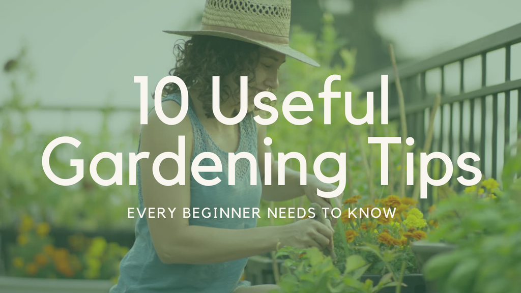 'Video thumbnail for 10 Useful Gardening Tips Every Beginner Needs to Know - Part 1'