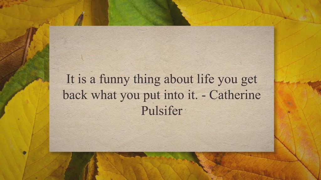 'Video thumbnail for Funny Quotes about Life Page 2'