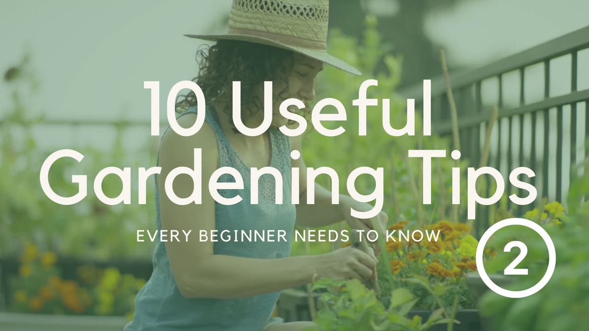 'Video thumbnail for 10 Useful Gardening Tips Every Beginner Needs to Know - Part 2'
