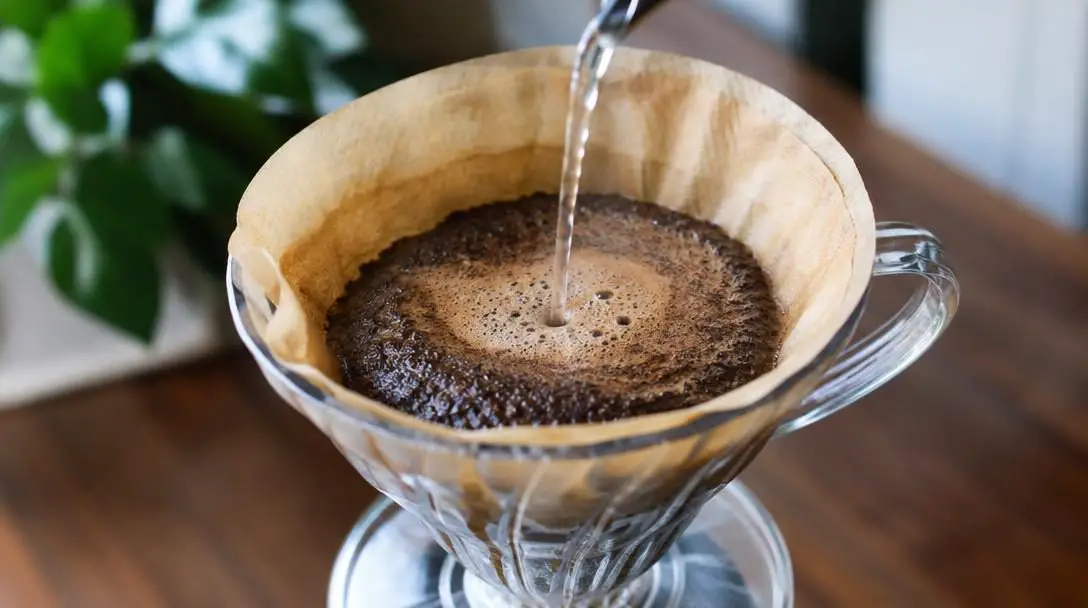 5 Crazy Facts About Coffee