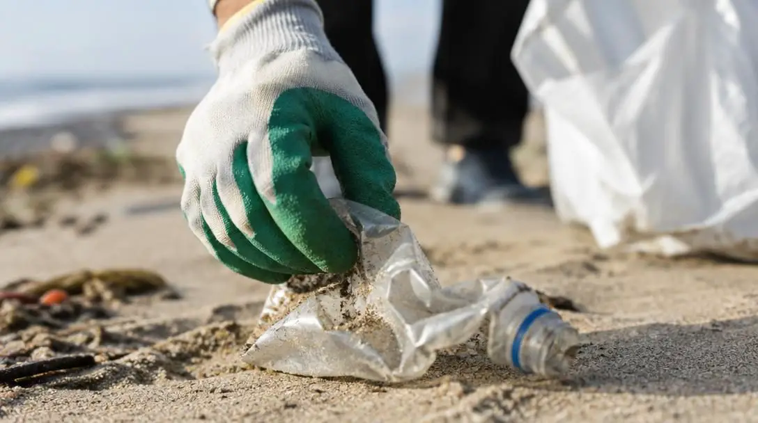 5 Environmental NGOs Making The World A Better Place