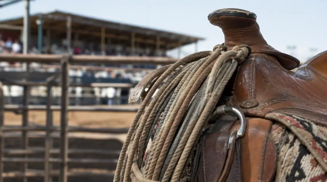The 5 Best Rodeos to Attend in North America