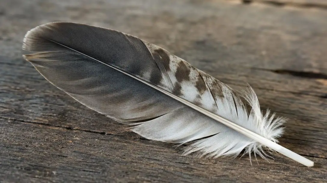 The Symbolism Of Birds